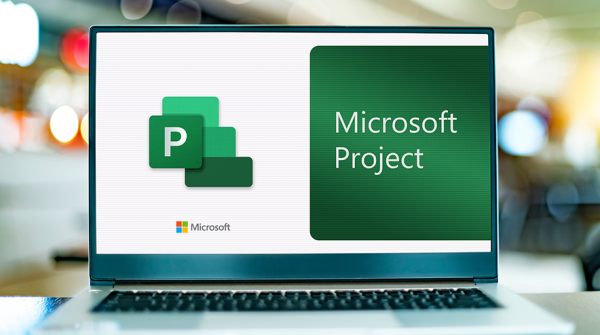 Microsoft Project Professional 2021 Lifetime Digital License for PC - SOFTWAREHUBS Mark