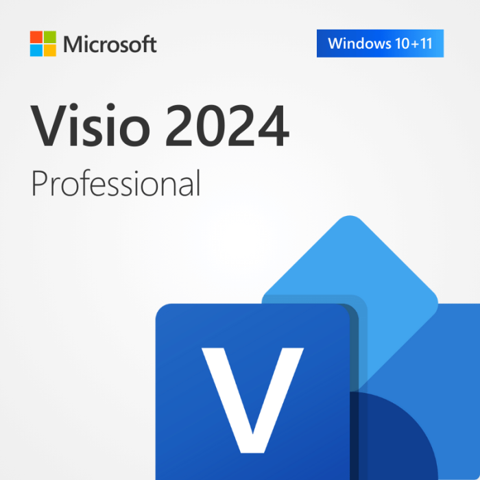 microsoft-visio-2024-professional-softwarehubs microsoft-visio-2024-professional-softwarehubs