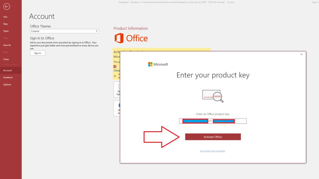How to download, install and active Microsoft Access RT & VL - SOFTWAREHUBS 8 Access3