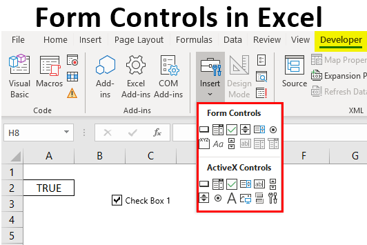 Data Entry Form in