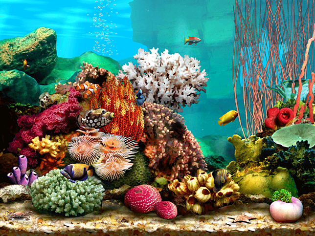 Free Screensavers7