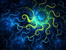 Free Screensavers8