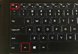 How to Use Function Keys Without Holding the Fn Key on Windows 10 6 Fn Key2