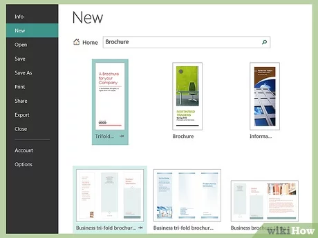 Microsoft Publisher