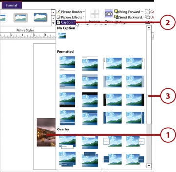 Tips and Techniques for Working with Images in Publisher - 2024 8 Publisher3