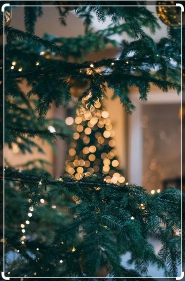 Festive Christmas Wallpapers 2025 16 Christmas Wallpapers7