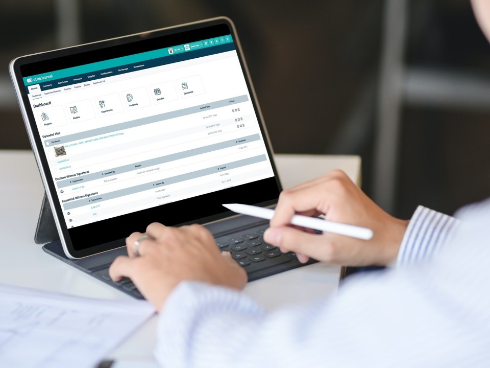 Microsoft OneNote Quick Reference Guide - 2024 8 Microsoft OneNote
