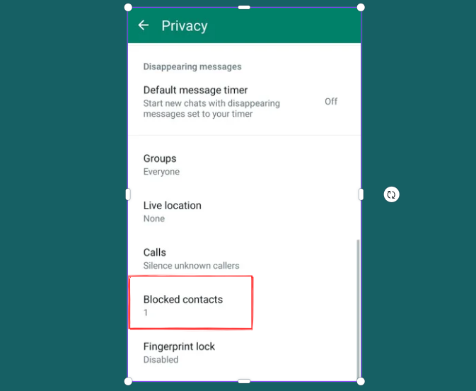 How to Recover Blocked Messages on iPhone - 2024 9 Blocked Messages3