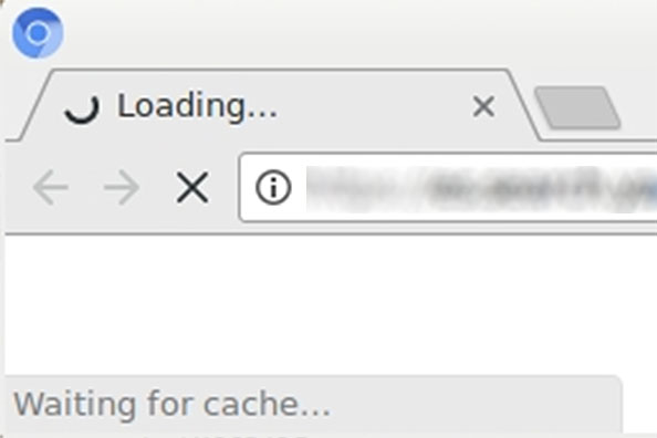 Resolved: Google Chrome Stuck on "Waiting for Cache" Issue in Windows 10 7 Waiting for Cache