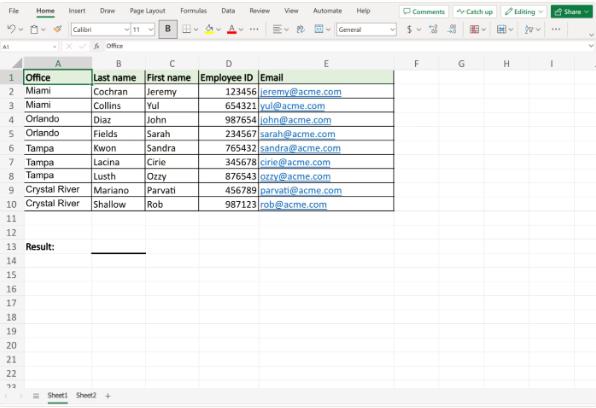 Excel Expertise: How to Efficiently Identify Duplicates in Excel - 2024 12 Duplicates in