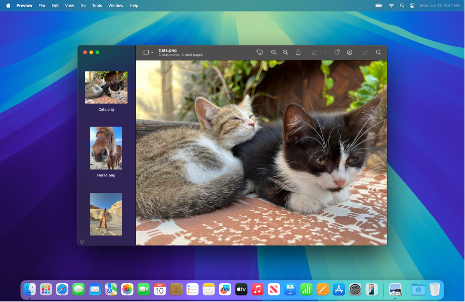 Set Up Skype for Business on Mac - 2025 8 Set Up Skype